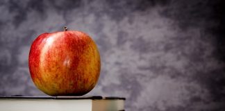 Why any startup needs a teacher Why any startup needs a teacher