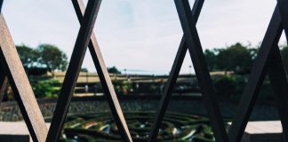 Easy hard steps in startup business management startup