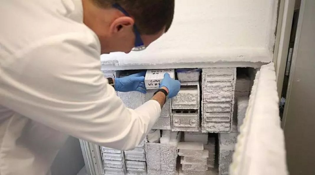 Startupik-97 (23) medical world