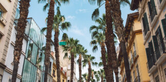 4YFN Barcelona 2026: The Ultimate Startup and Innovation Event 4YFN Barcelona